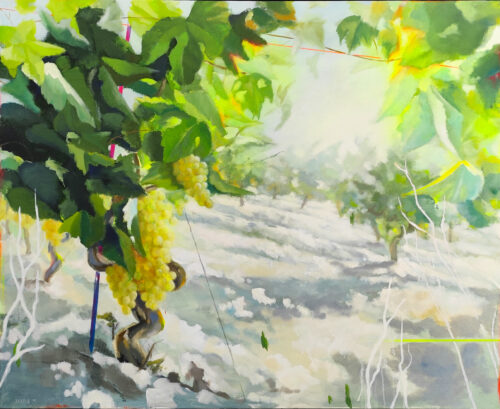 LA LUZ DEL VINO