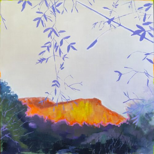 LA MONTAÑA ENCENDIDA